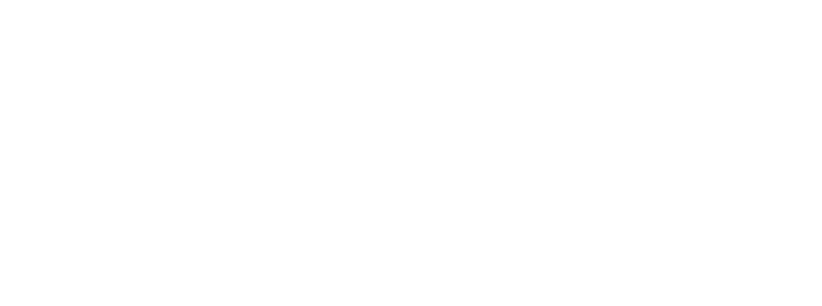 Mav the Vote logo