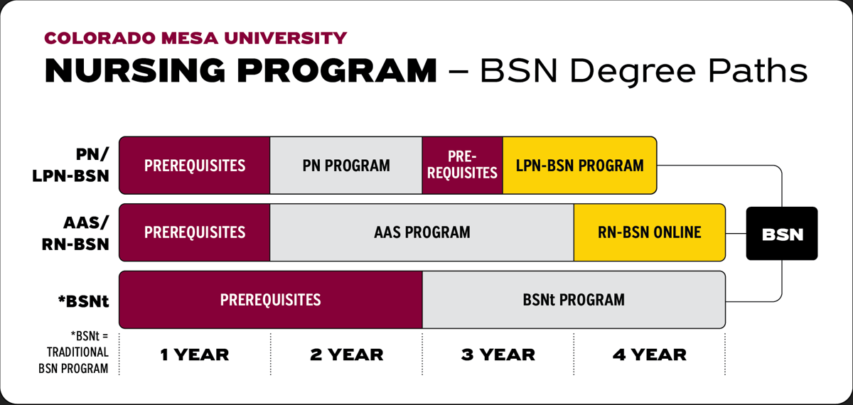 BSN degree paths