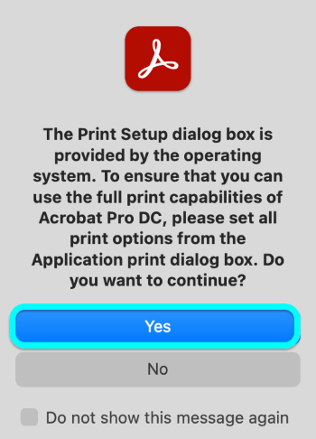 Application Print Dialog Prompt