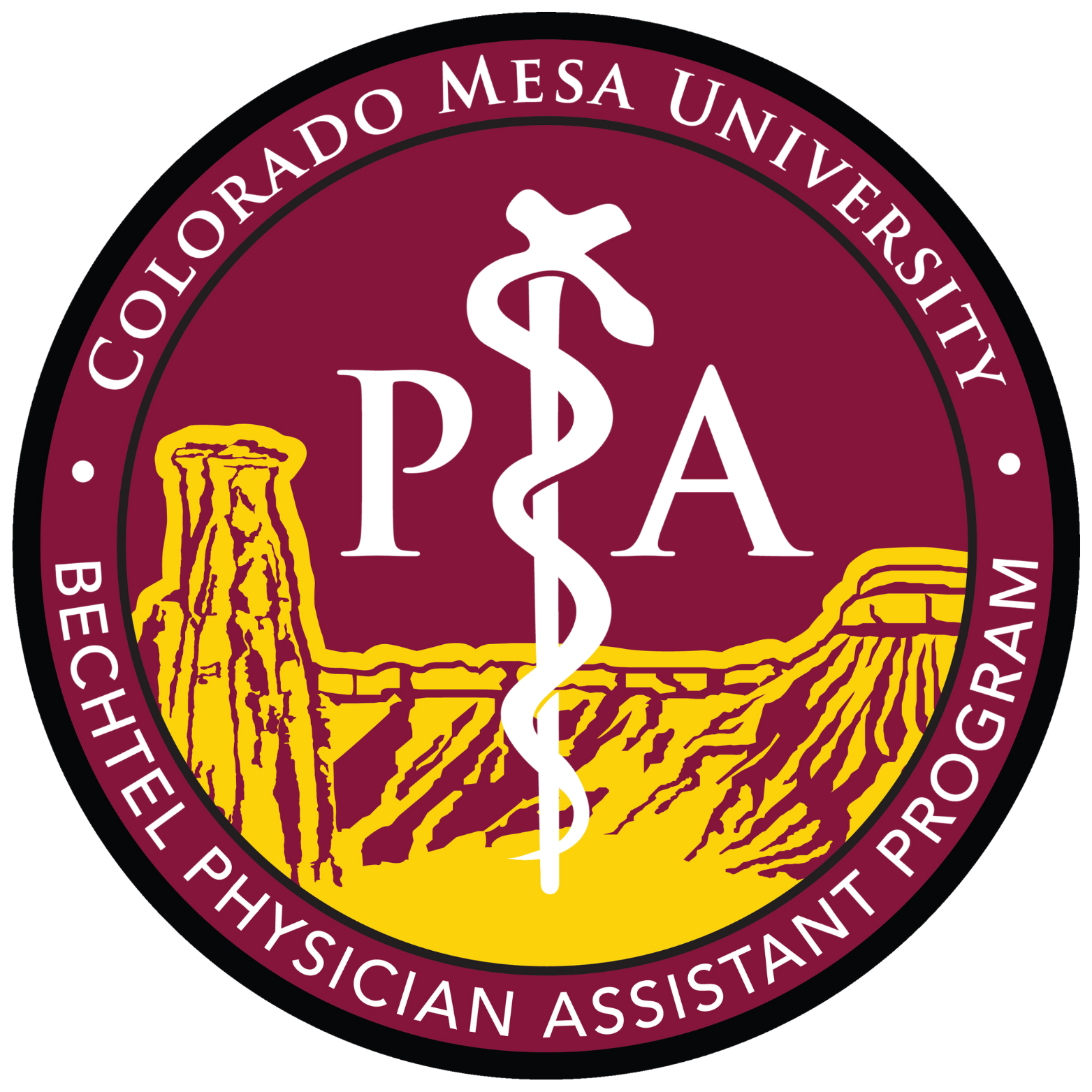 pa-program-logo-4.png