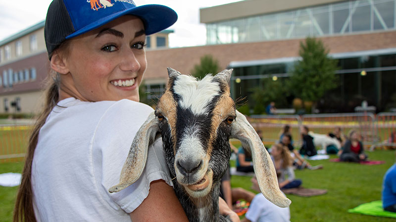 Goat yoga is a thing, and a popular one at that