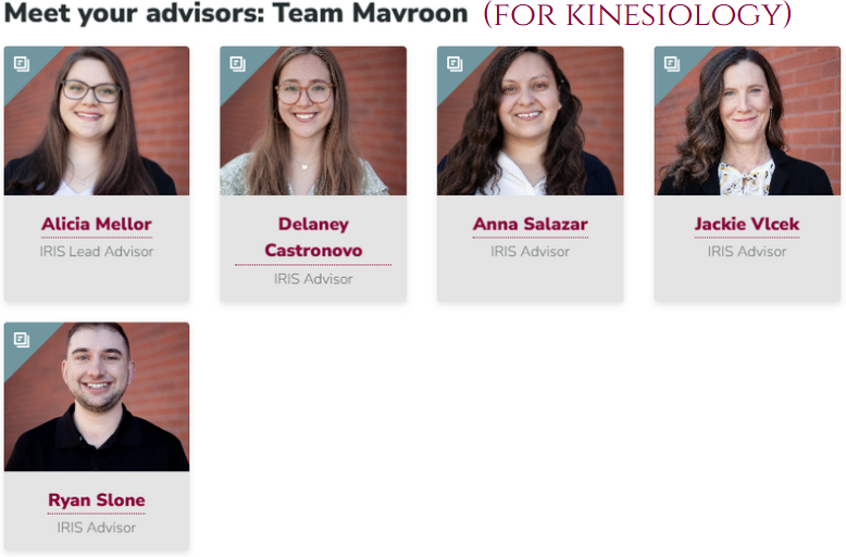 kin-advisors.png