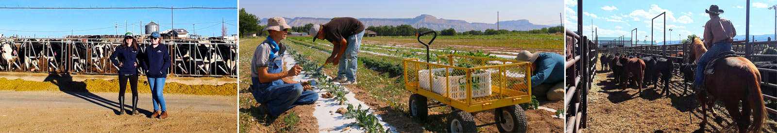 Agriculture Science | WCCC